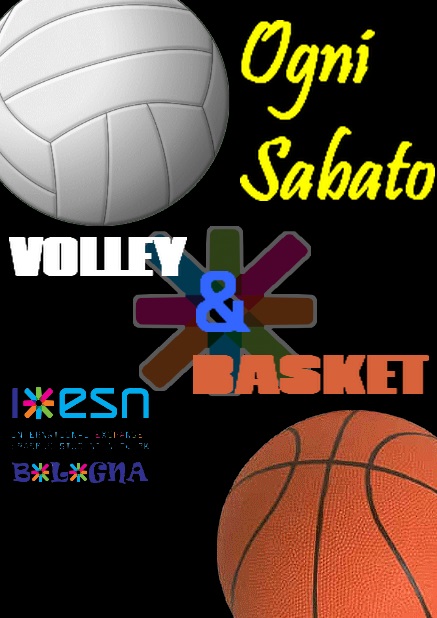 basket_volley.png