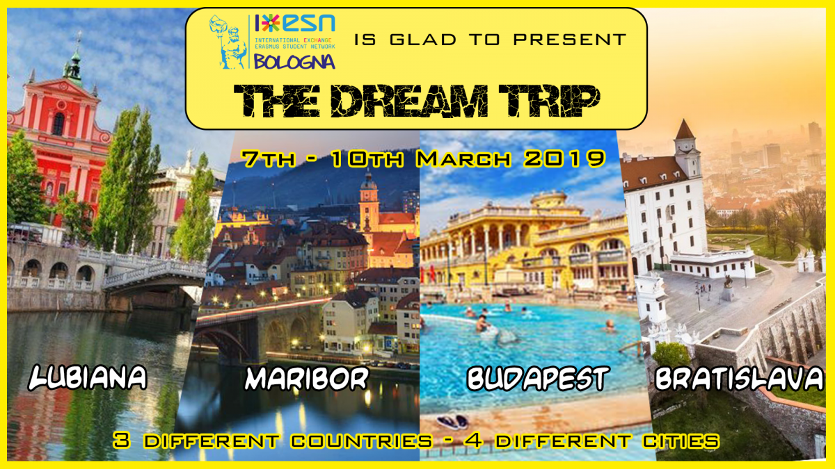 dreamtrip2019_banner.png