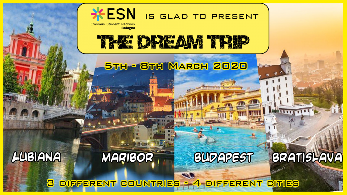 dreamtrip2020_banner.png